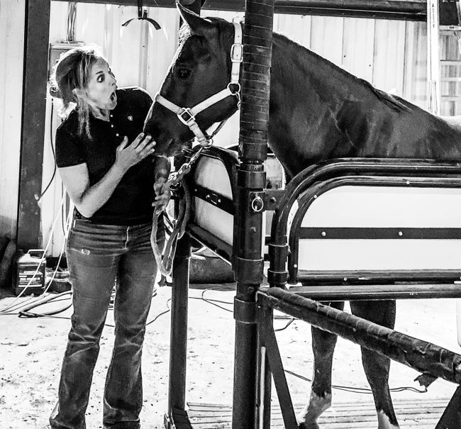Romy Nicoletta Veterinarian in Huerfano County