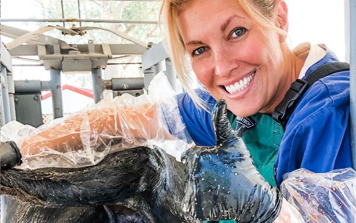 Romy Nicoletta Veterinari	an in Huerfano County